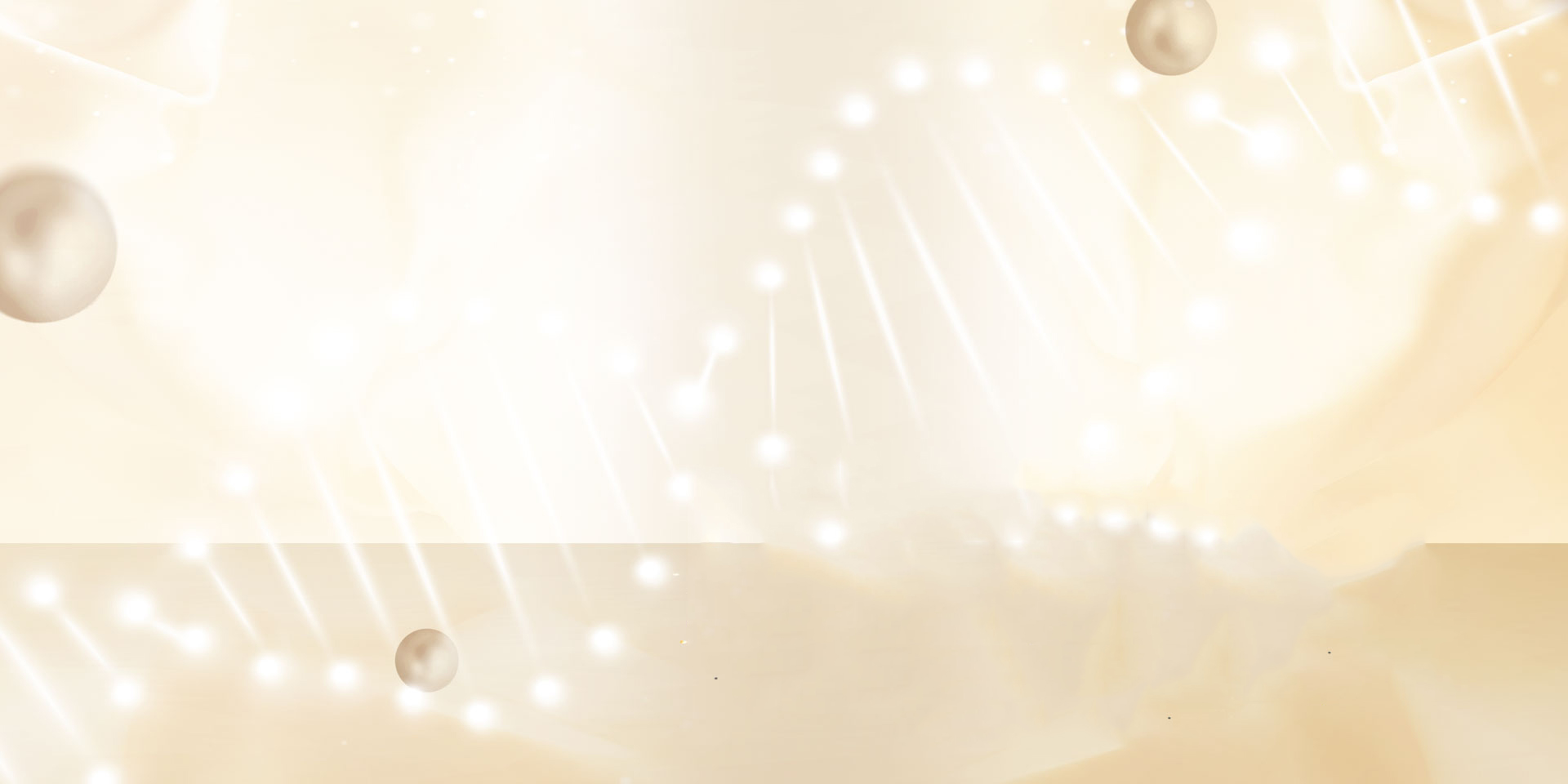 品牌傳播 BRANDING